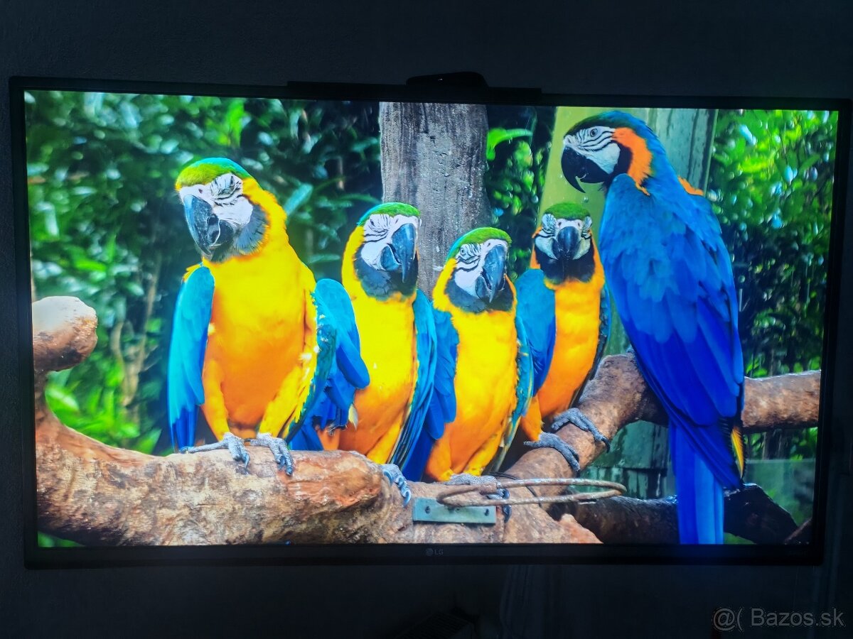 LG TV 43" + android box