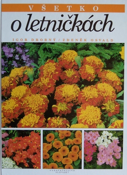 Všetko o letničkách