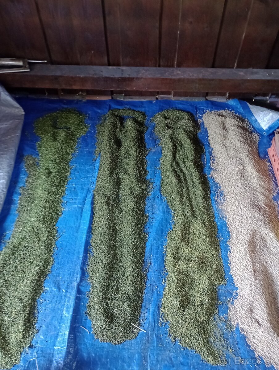 Zmeská, Granule, Kukurica, Pšenica, Jačmeň