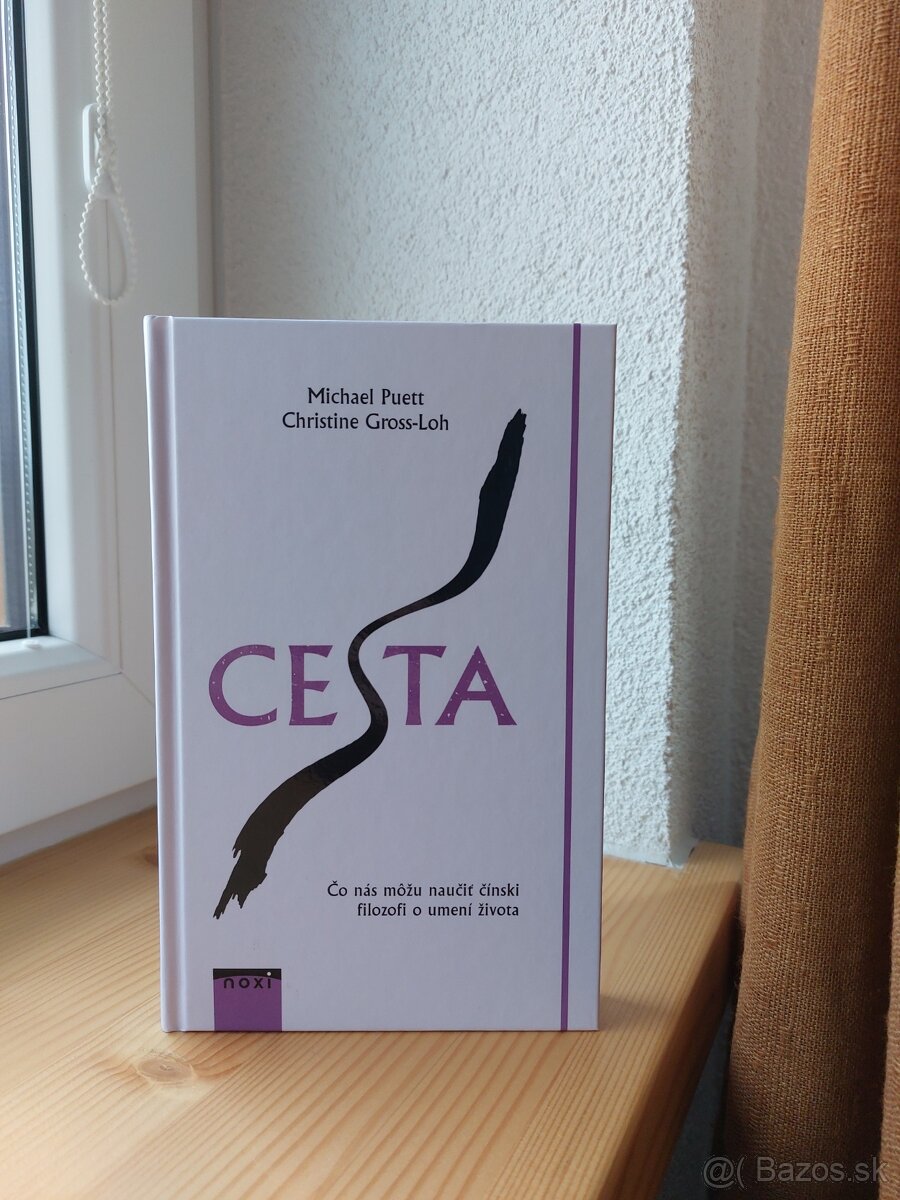 Cesta : čo nás môžu naučiť čínski filozofi o umení života