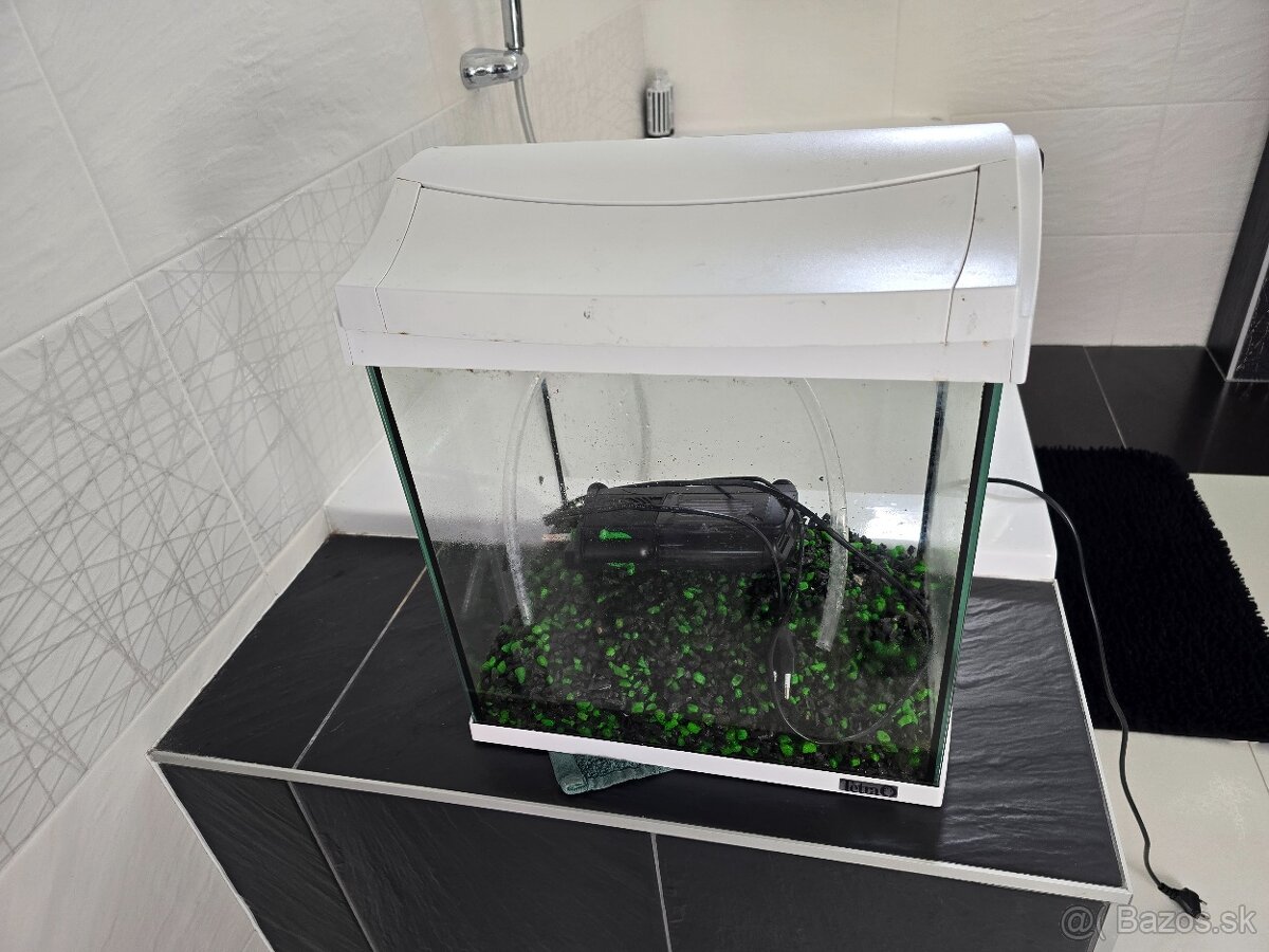 Predam malé akvárium s filtrom a osvetlenim