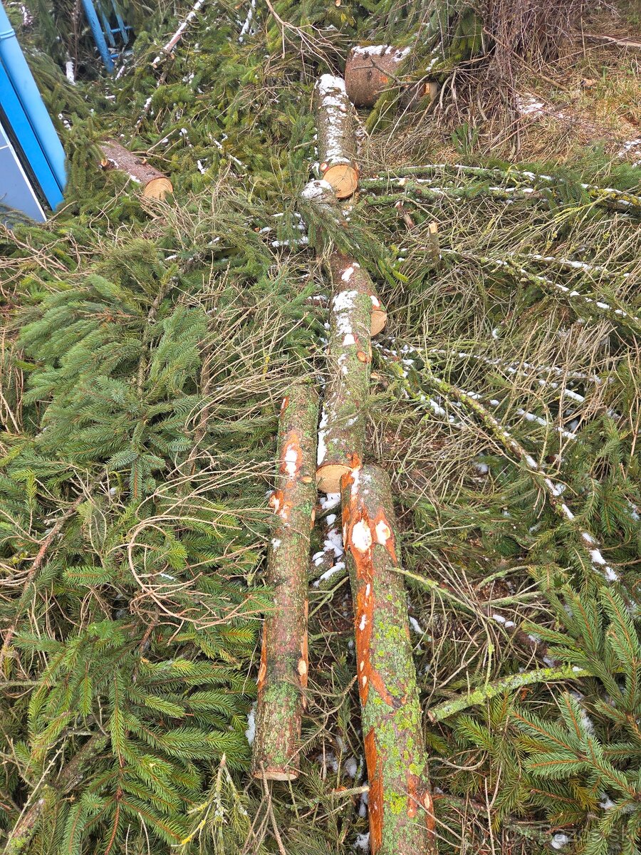 Darujem drevo za odvoz