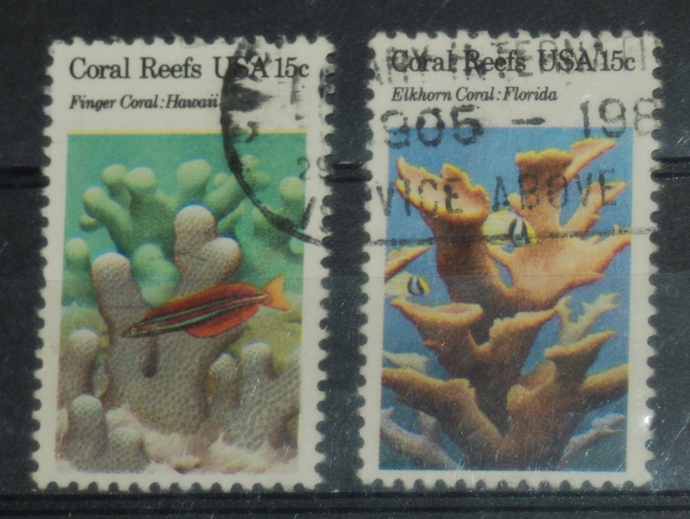 Poštové známky - Fauna 709