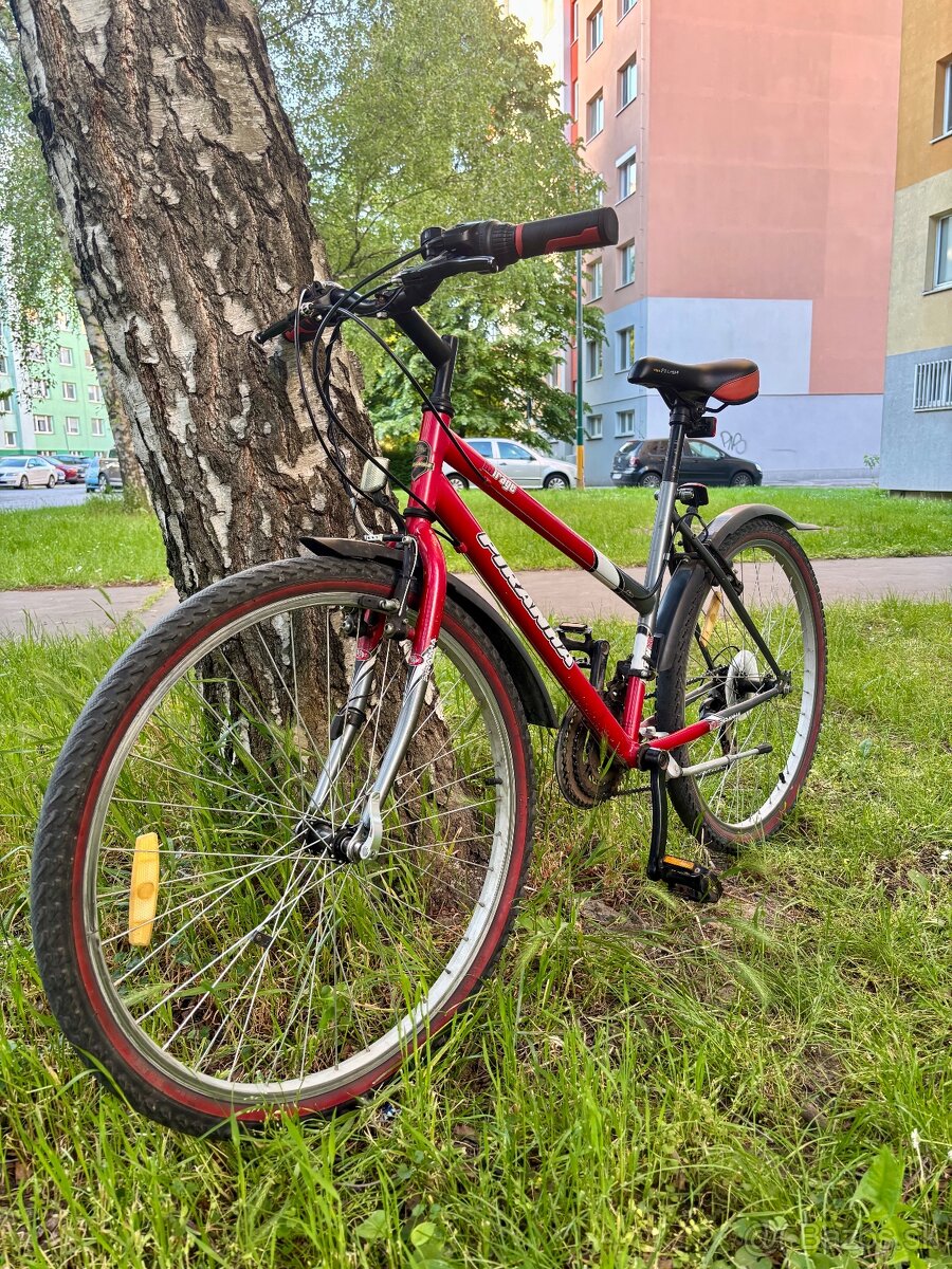 Dámsky bicykel