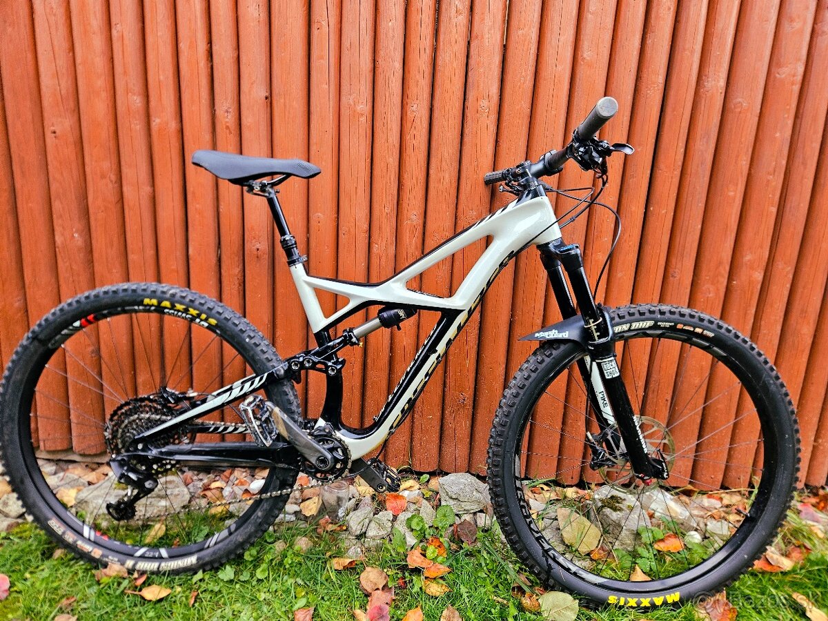 Enduro Expert Carbon
