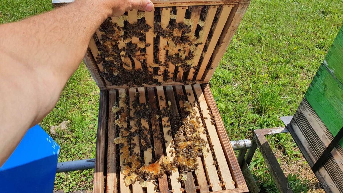 Krmivo pre včely