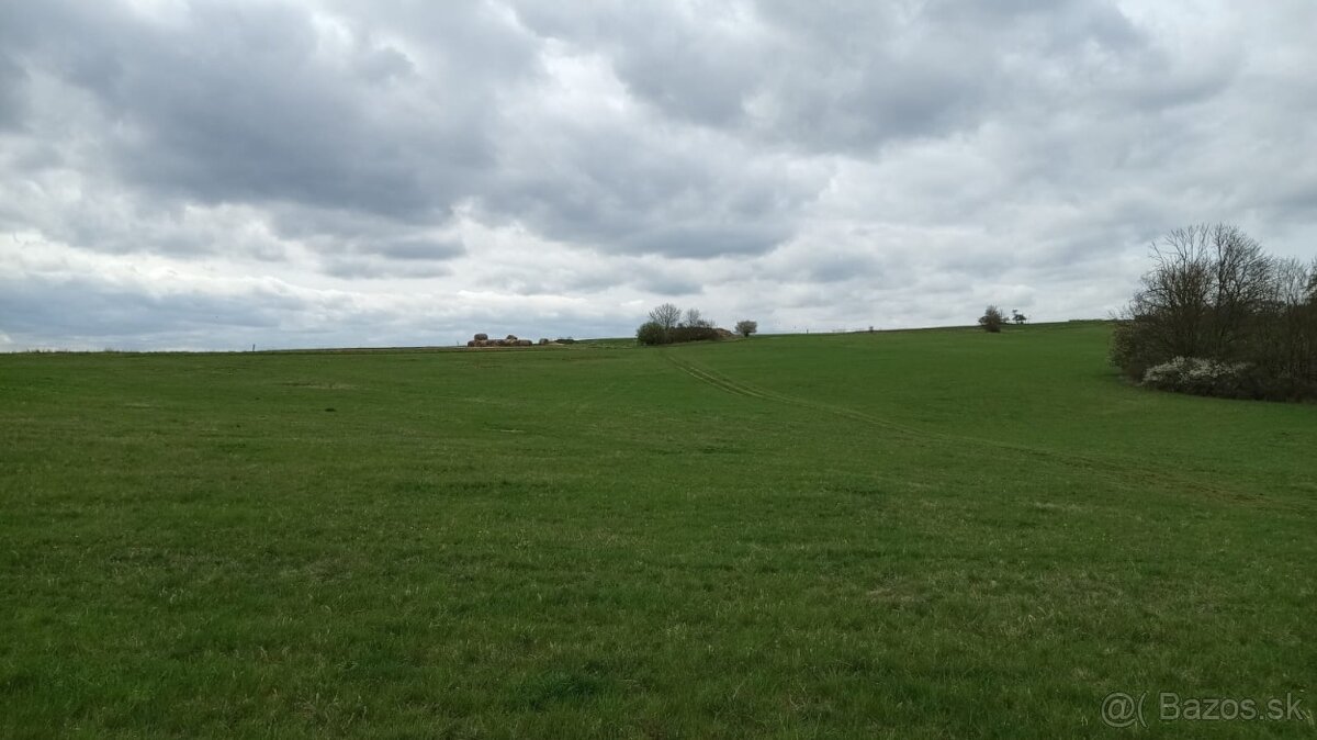 Pozemky levice