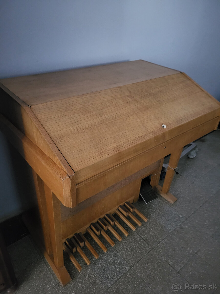 Delicia Vega, varhany, organ