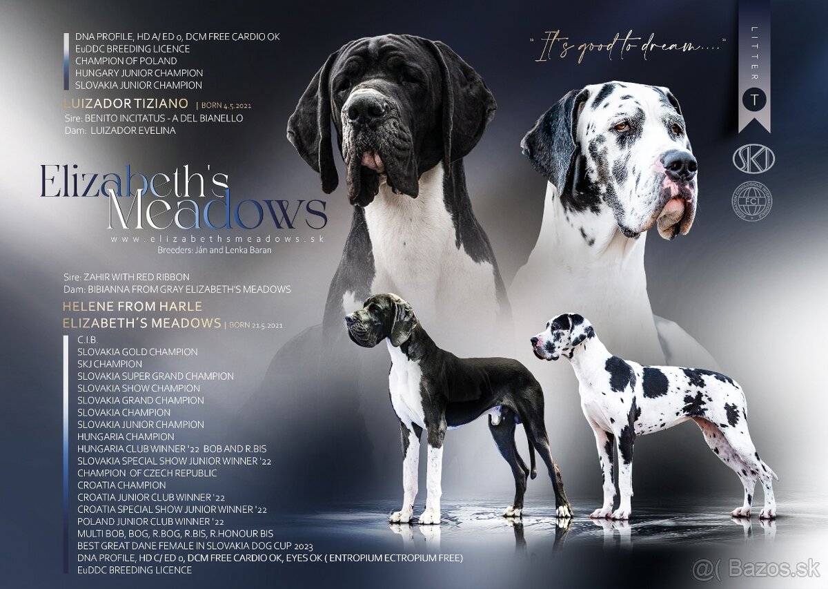 Nemecká doga šteniatka s PP