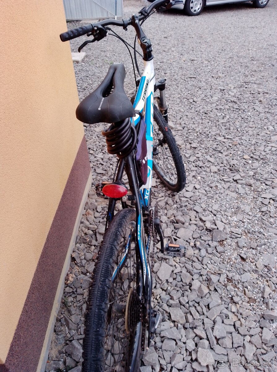 CTM Terrano