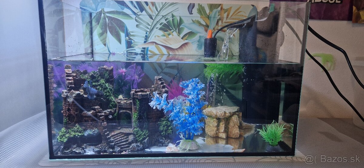 Akvarium