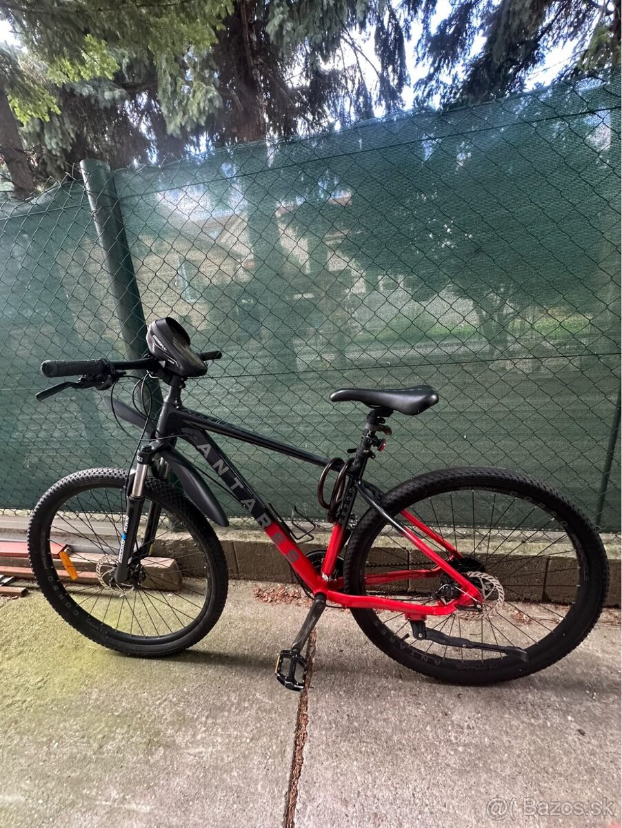 Predam bycikel Corso antares atlantic 29