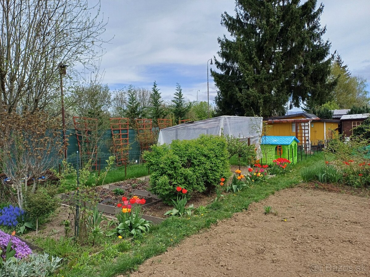 🌿 Záhradka v Martine (za Košútmi) – 120 m², chatka