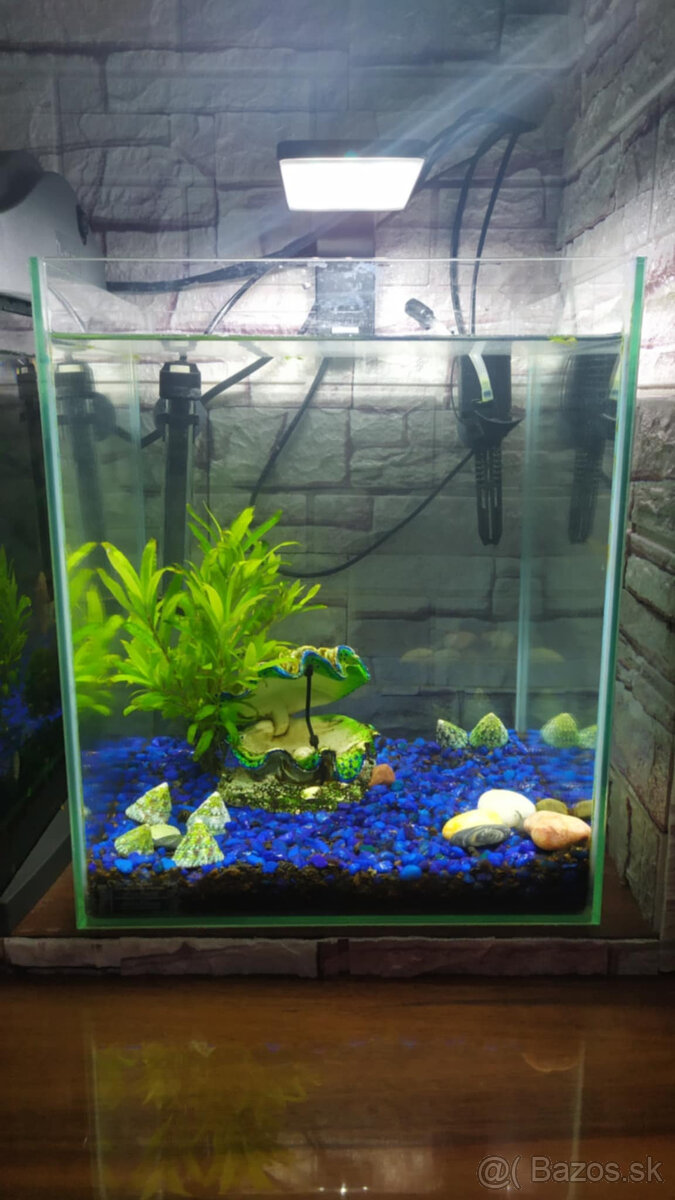 Akvarium