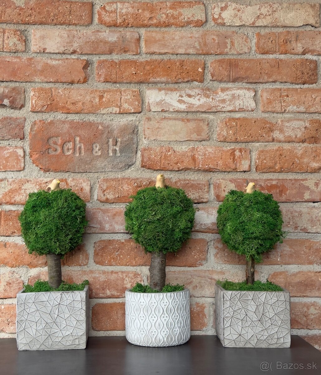 Strom stabilizovaný mach