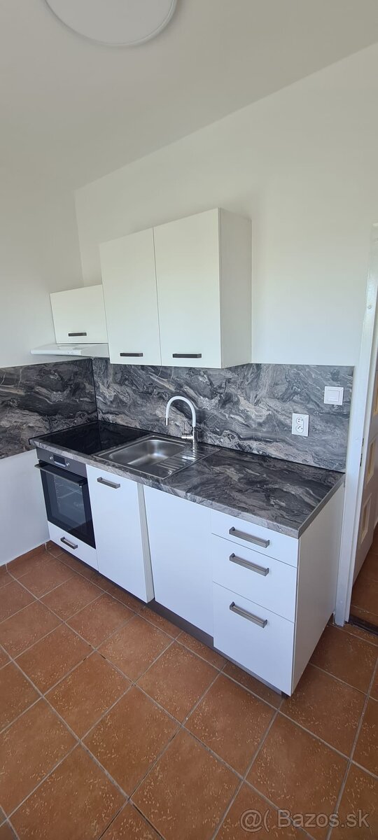 Pronájem bytu 1+1 43 m²