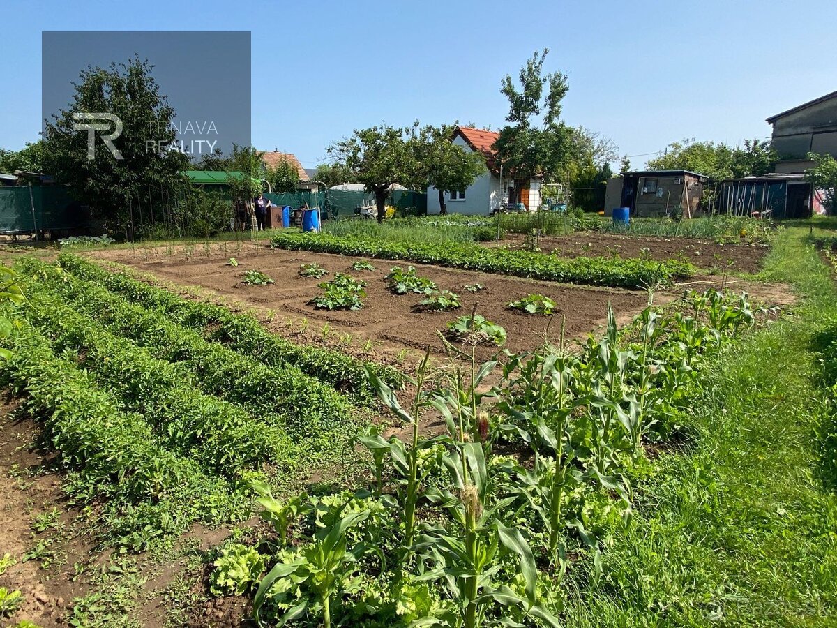 Záhrada o výmere 787 m2 spolu so záhradnou chatkou, Trnava,