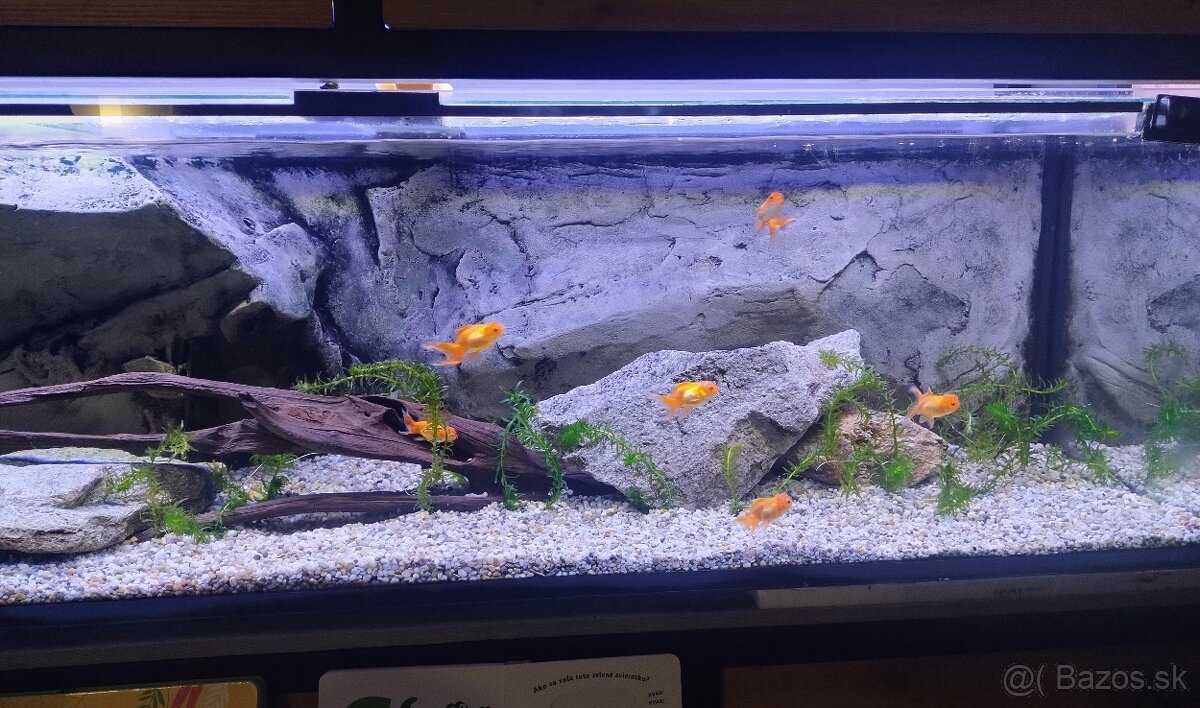 Akvárium 450l