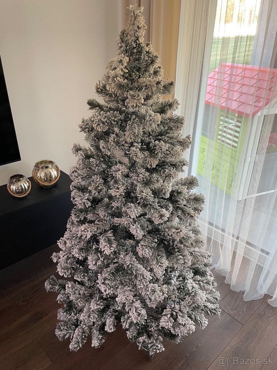 Zasnežený hustý vianočný stromček