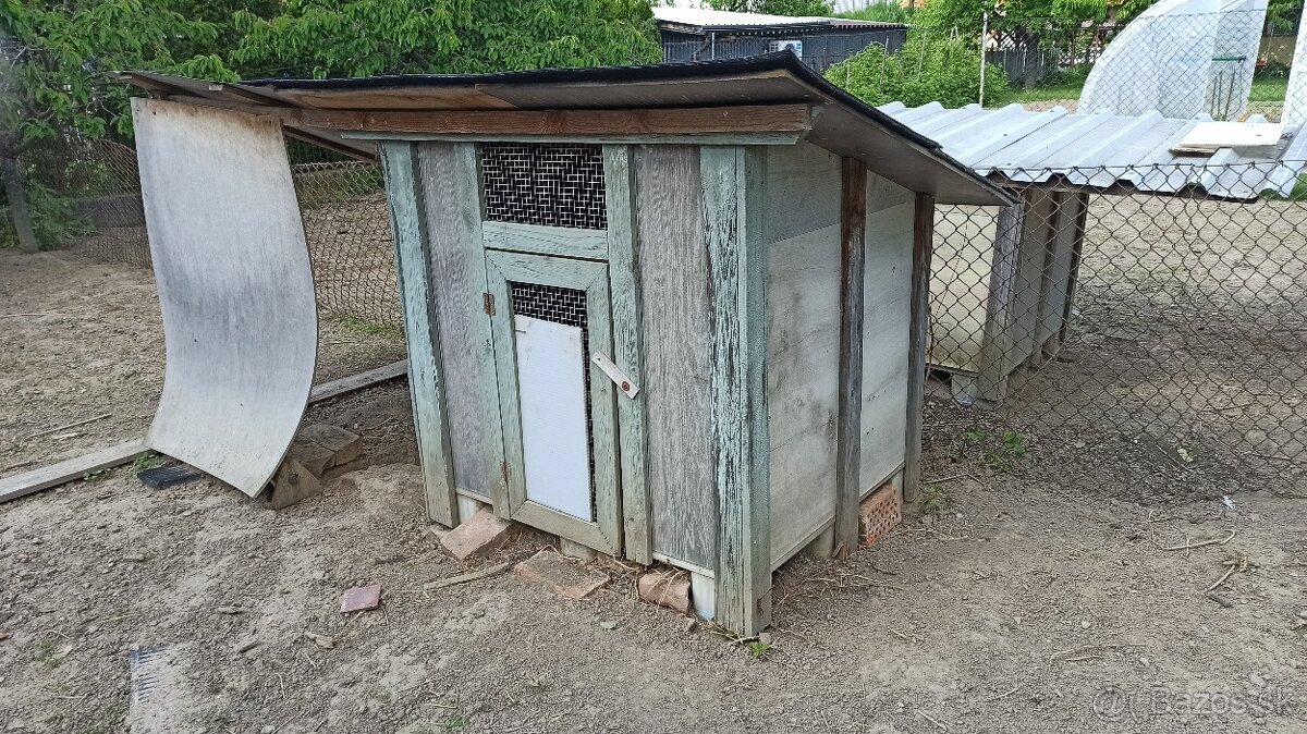 Kuríny