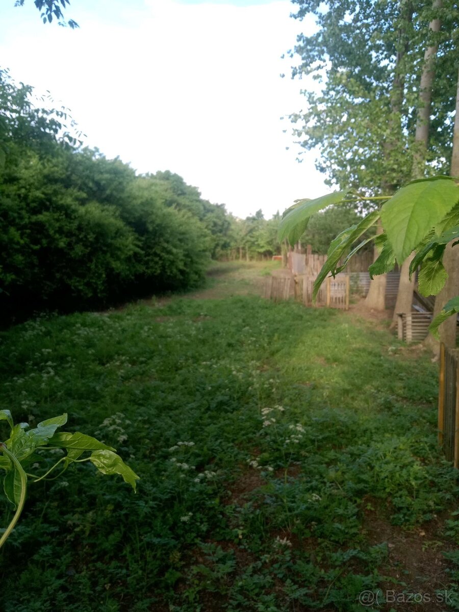 Znížená cena Pozemok 1.911 m2, Kocurice pri Piešťanoch