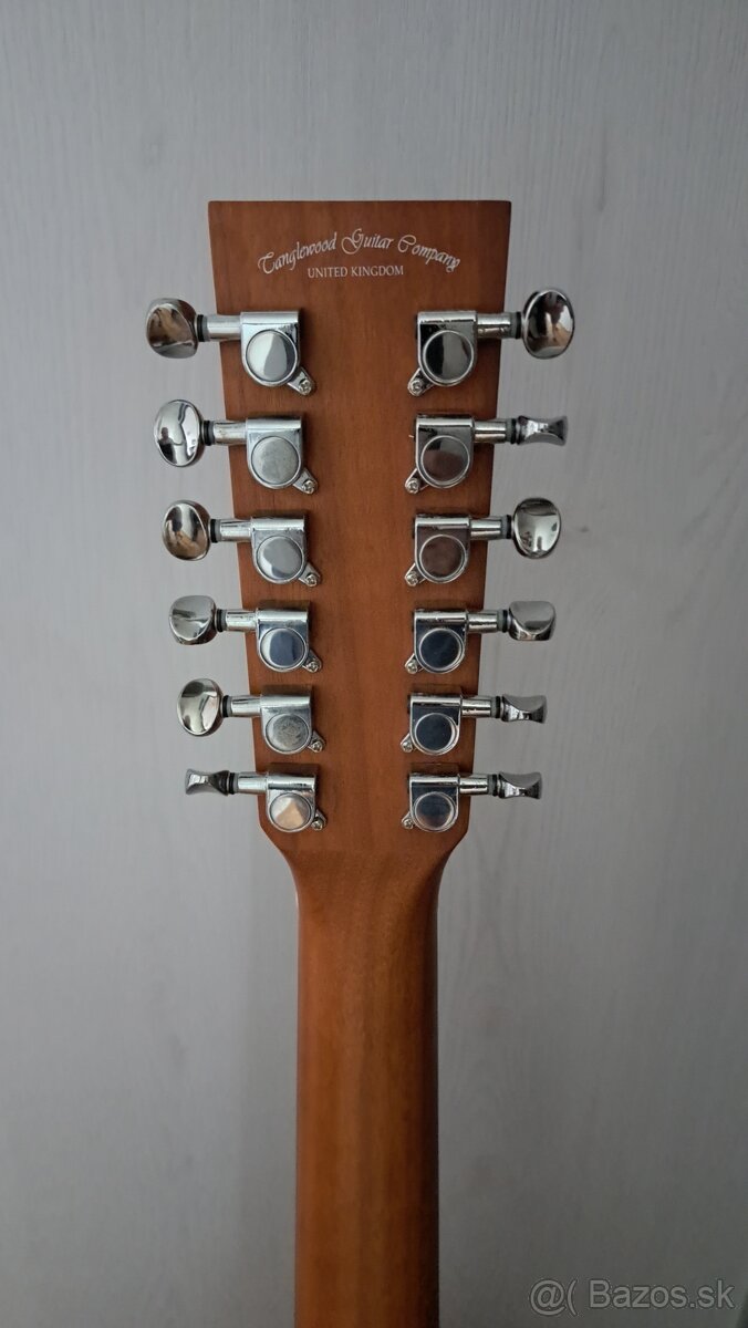 12 strunova gitara