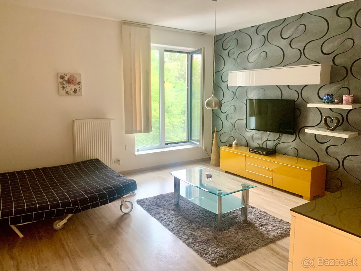 Prenajmem 1 izbový apartmán vedľa Veľkého Draždiaka