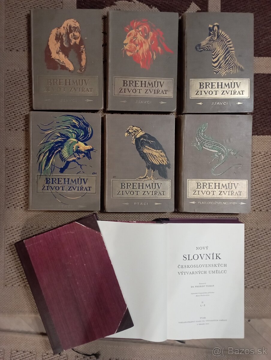 Život zvierat a výtvarní umelci