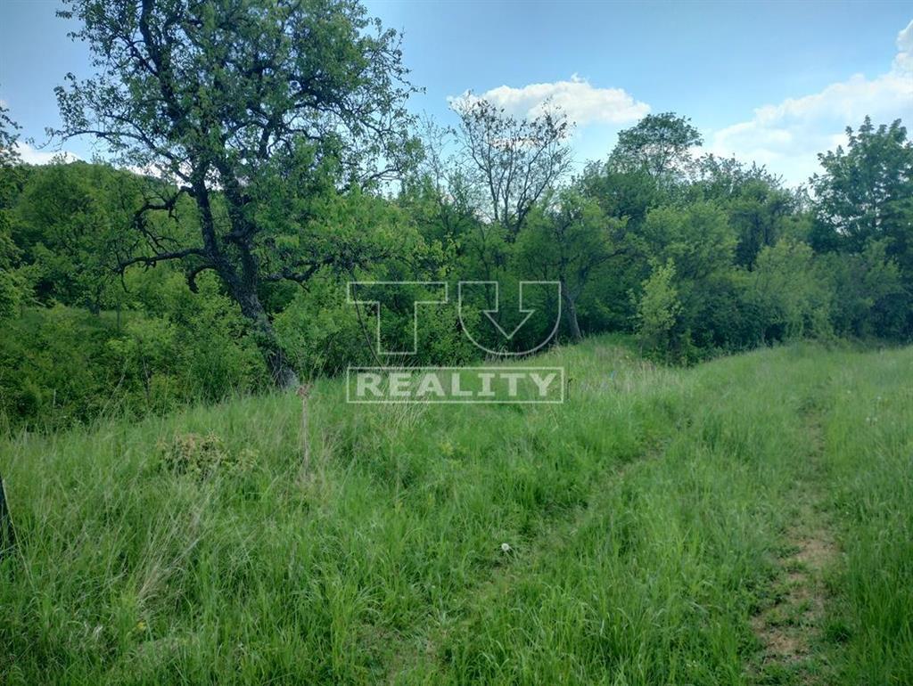Pozemok nad dedinou Bošácou