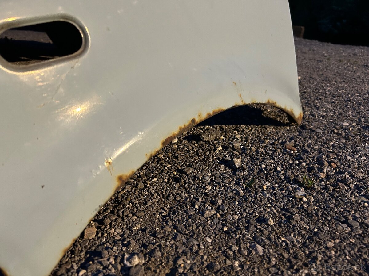 VW t5 blatnik