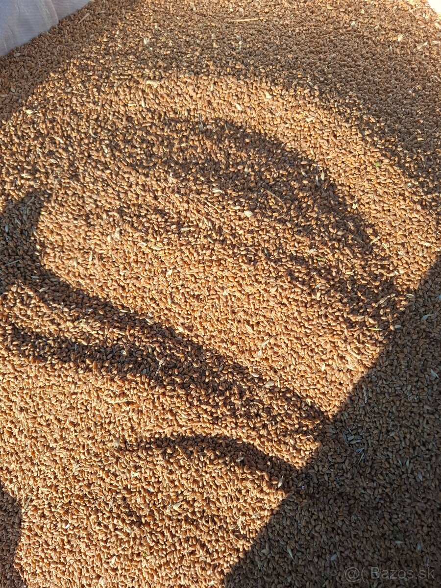 Obilie