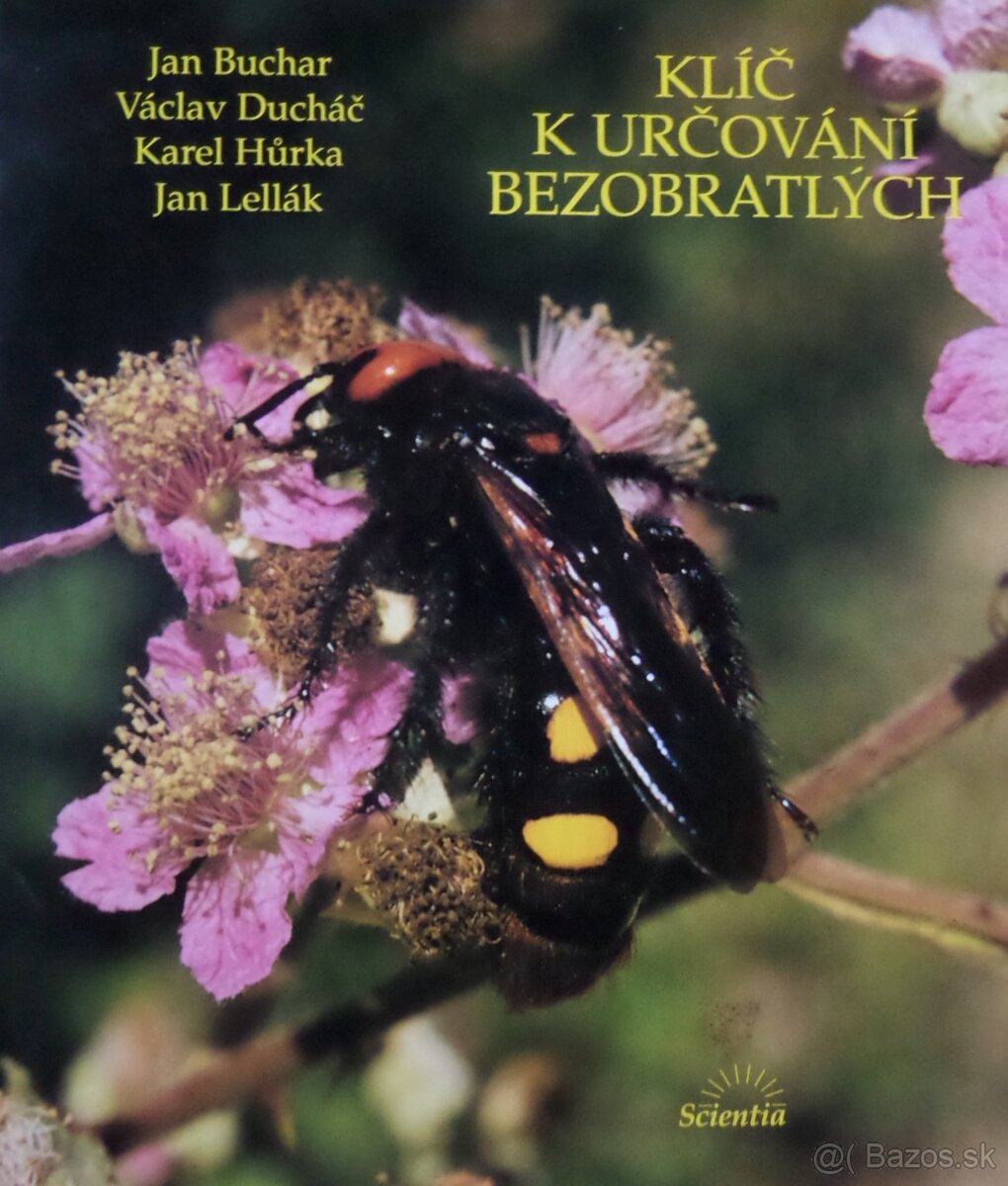 Klíč k určování bezobratlých