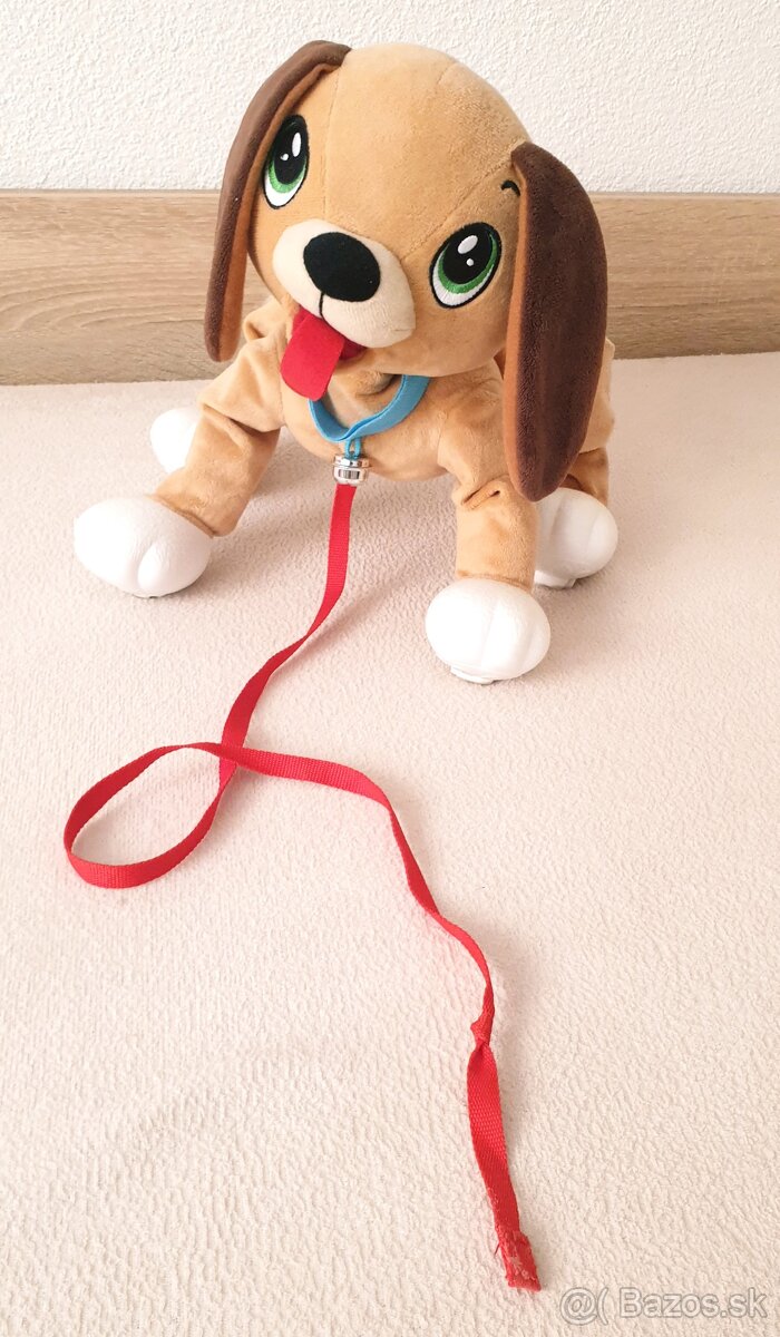 Psík Floppy