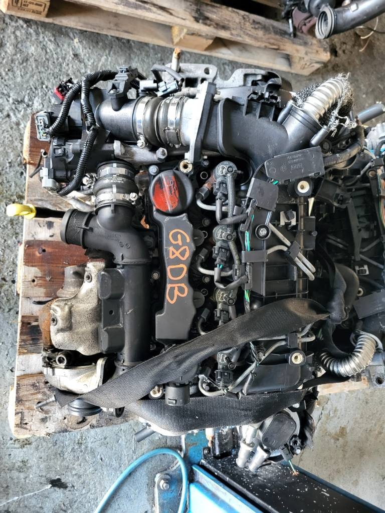 Motor 1.6tdci g8db ford