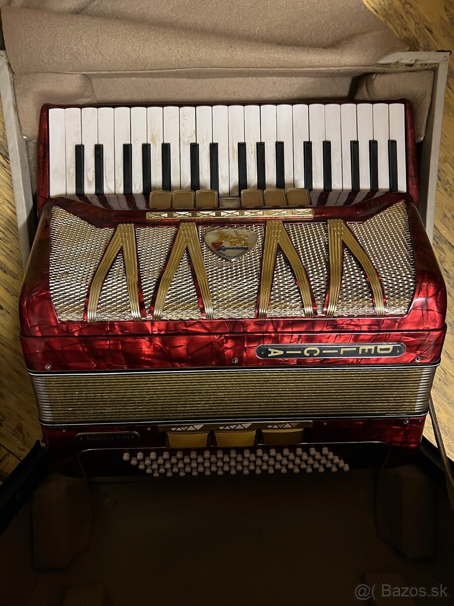 Harmonika Delícia Melodia VIII