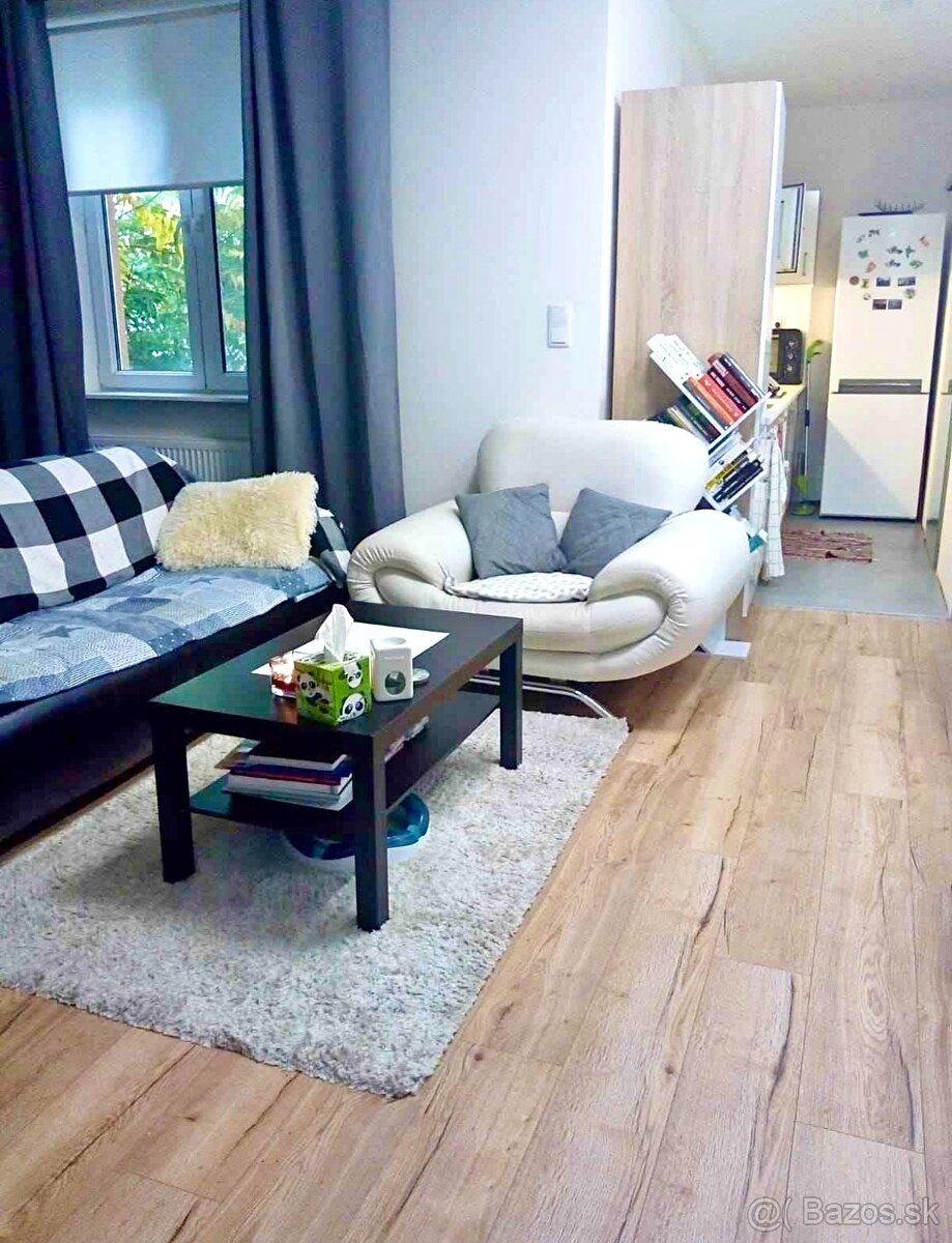 PRENÁJOM - 1,5 izbový byt Košice - Staré mesto