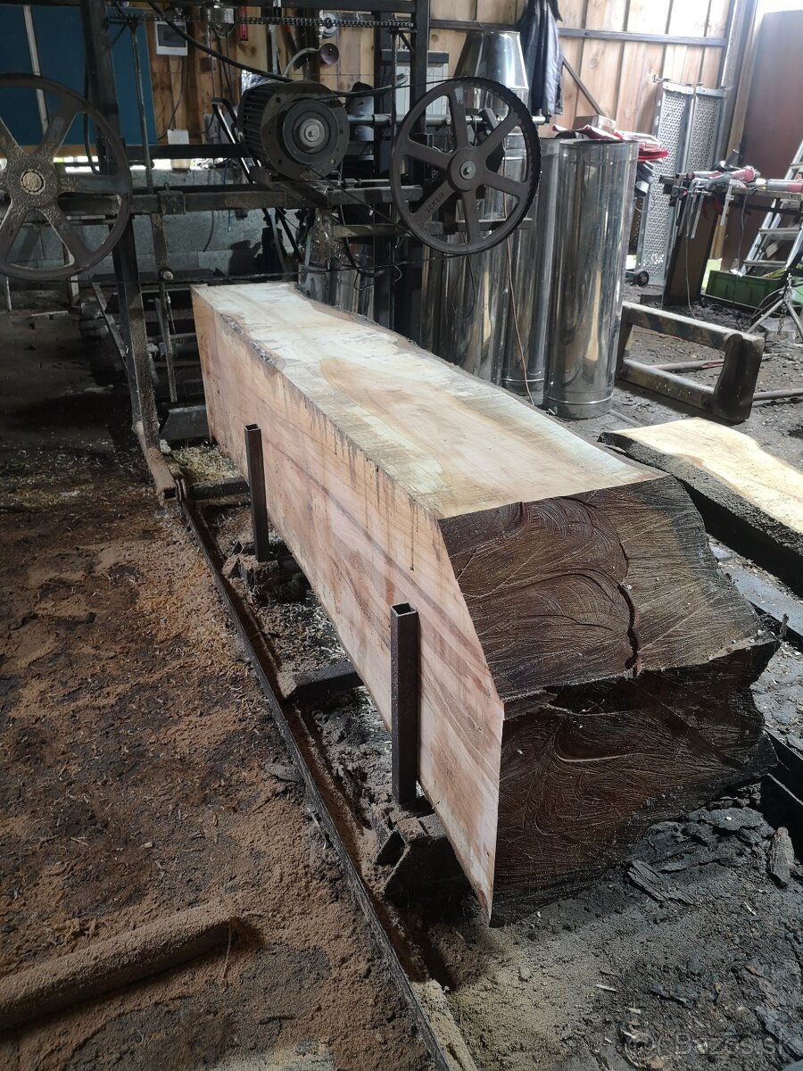 Kmeňova pásová pila 600mm