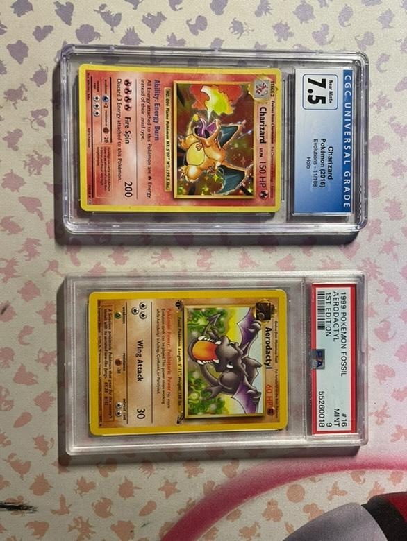 Pokemon charizard a aerodactyl