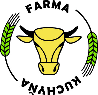Prijmeme dievča ku jerseyským kravám