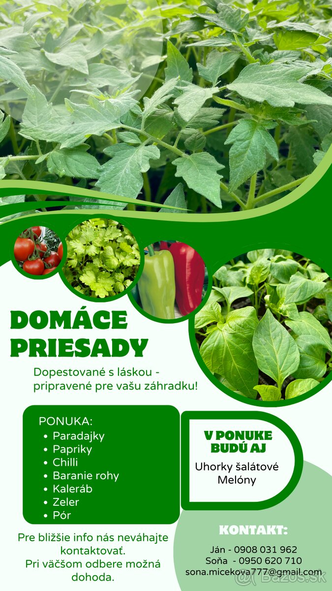 Domáce priesady