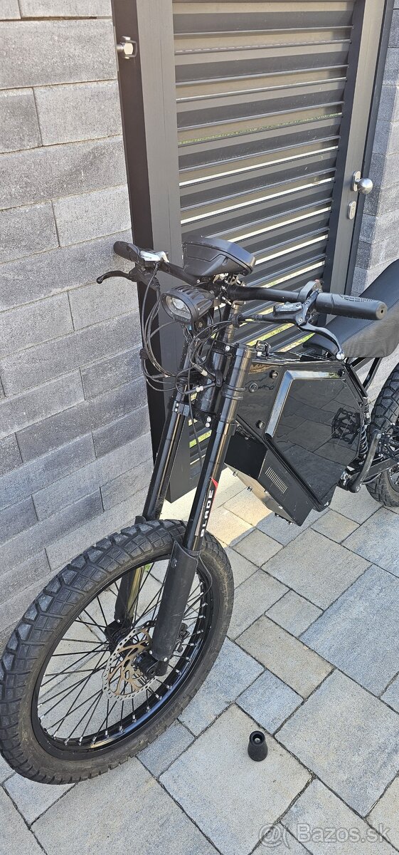 custom E-bike