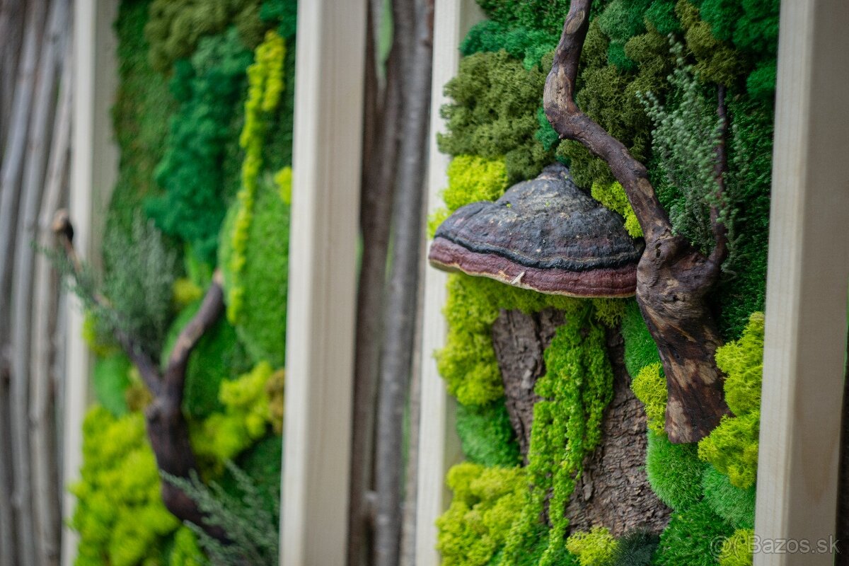 🌿 Machové obrazy na mieru – príroda vo vašom interiéri