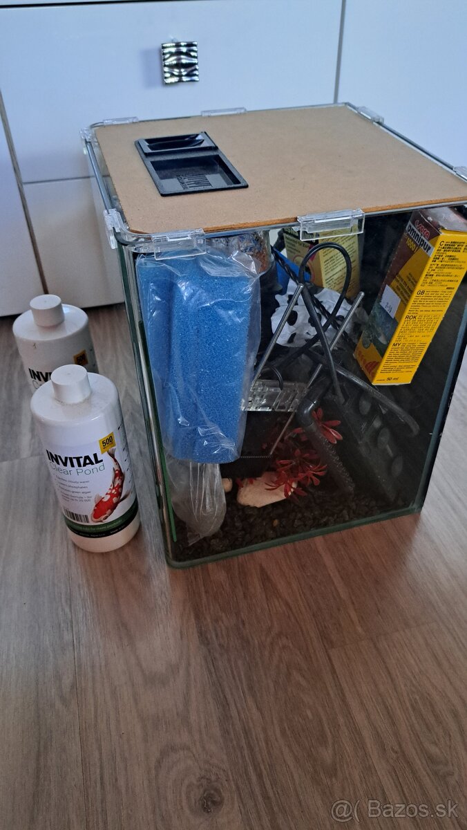 Akvárium pre bojovnicu