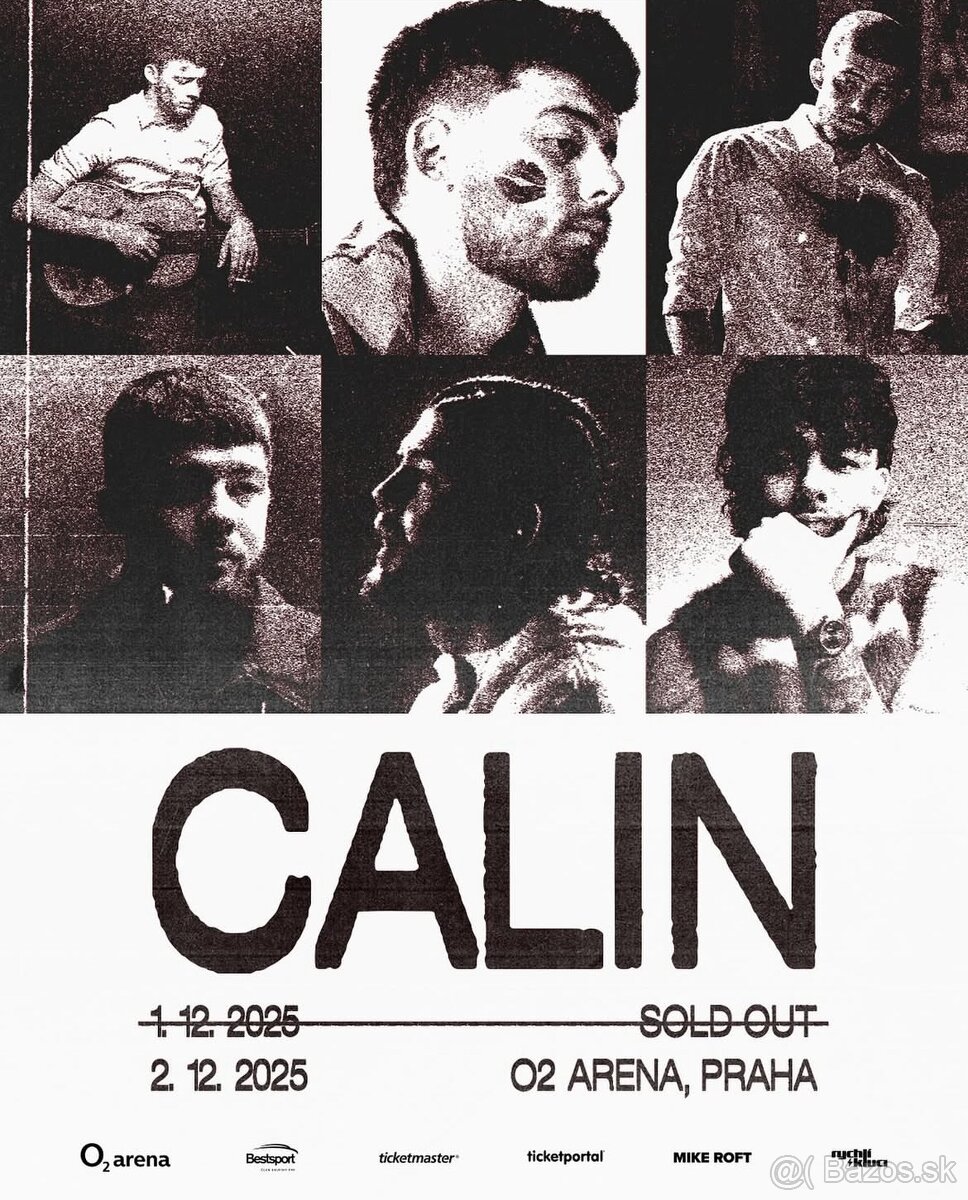 Calin koncert 2.12