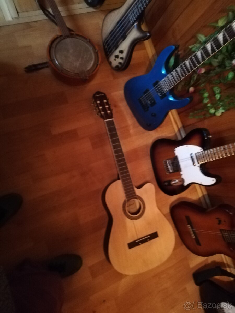 Elektricke a basove gitary