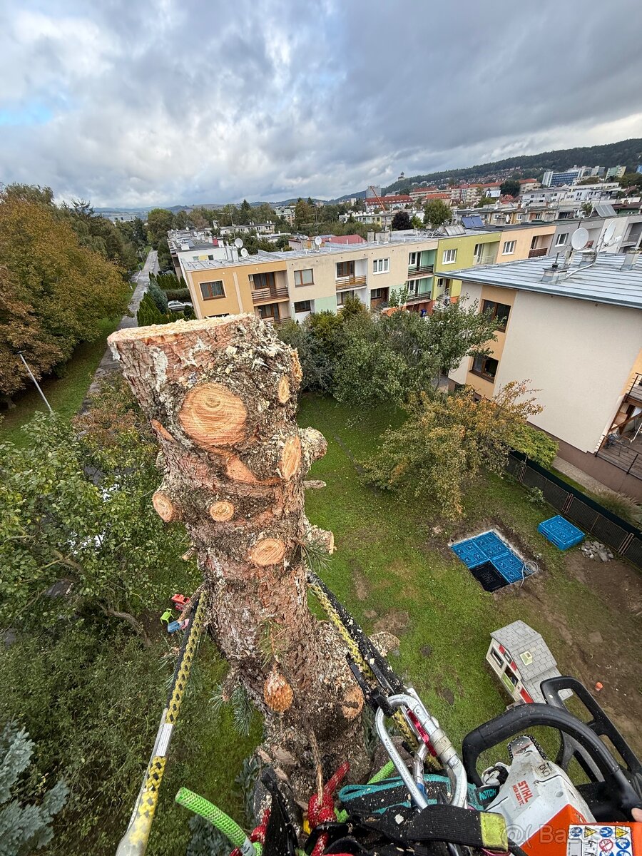 Výrub stromov a rizikové pílenie stromov