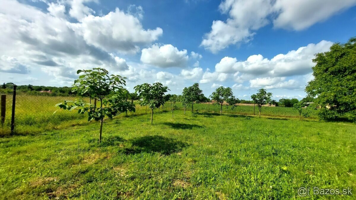 NA PREDAJ stavebný pozemok, Žitavce
