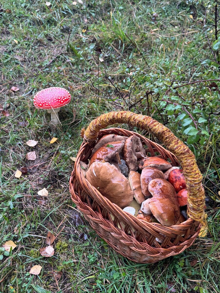 Dekorácia ,ingrerdiencie suchučke a vonave.