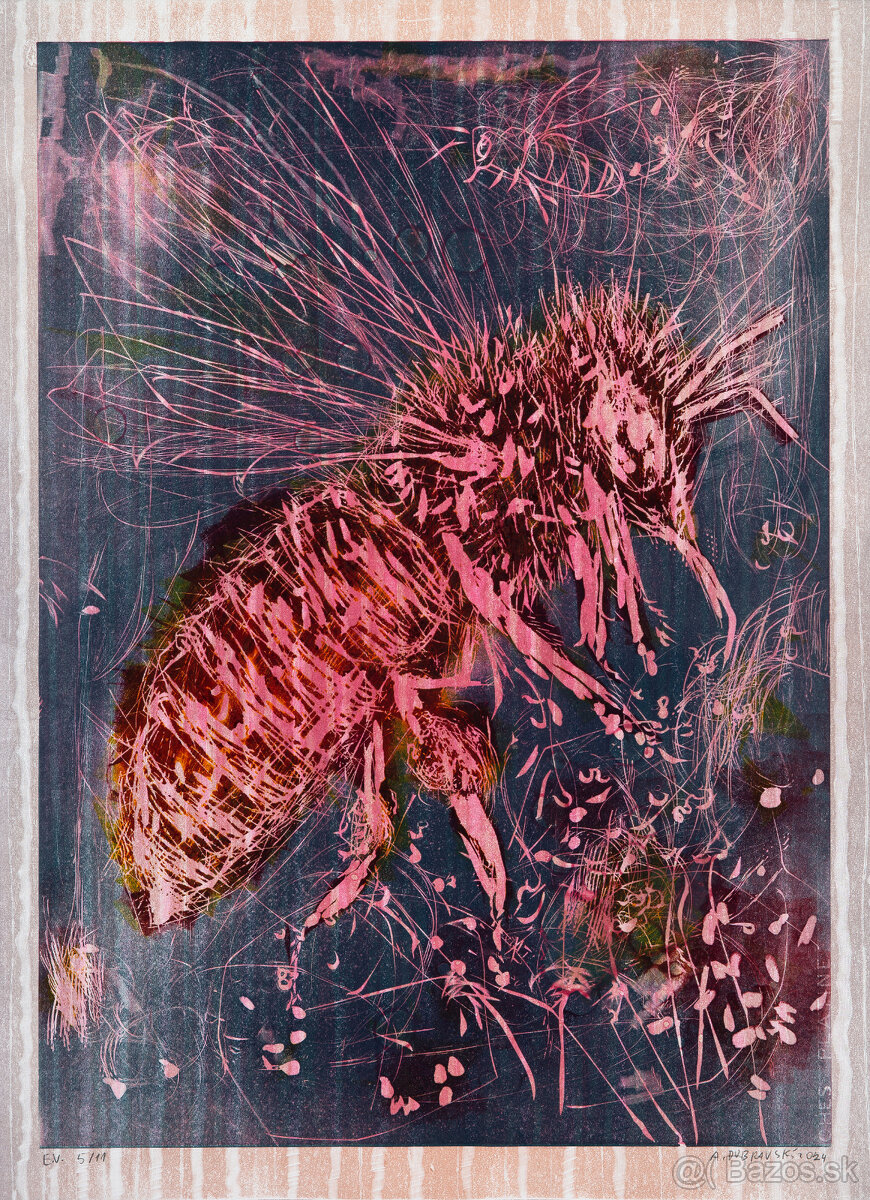 Andrej Dubravsky - Velka vcela 5/11