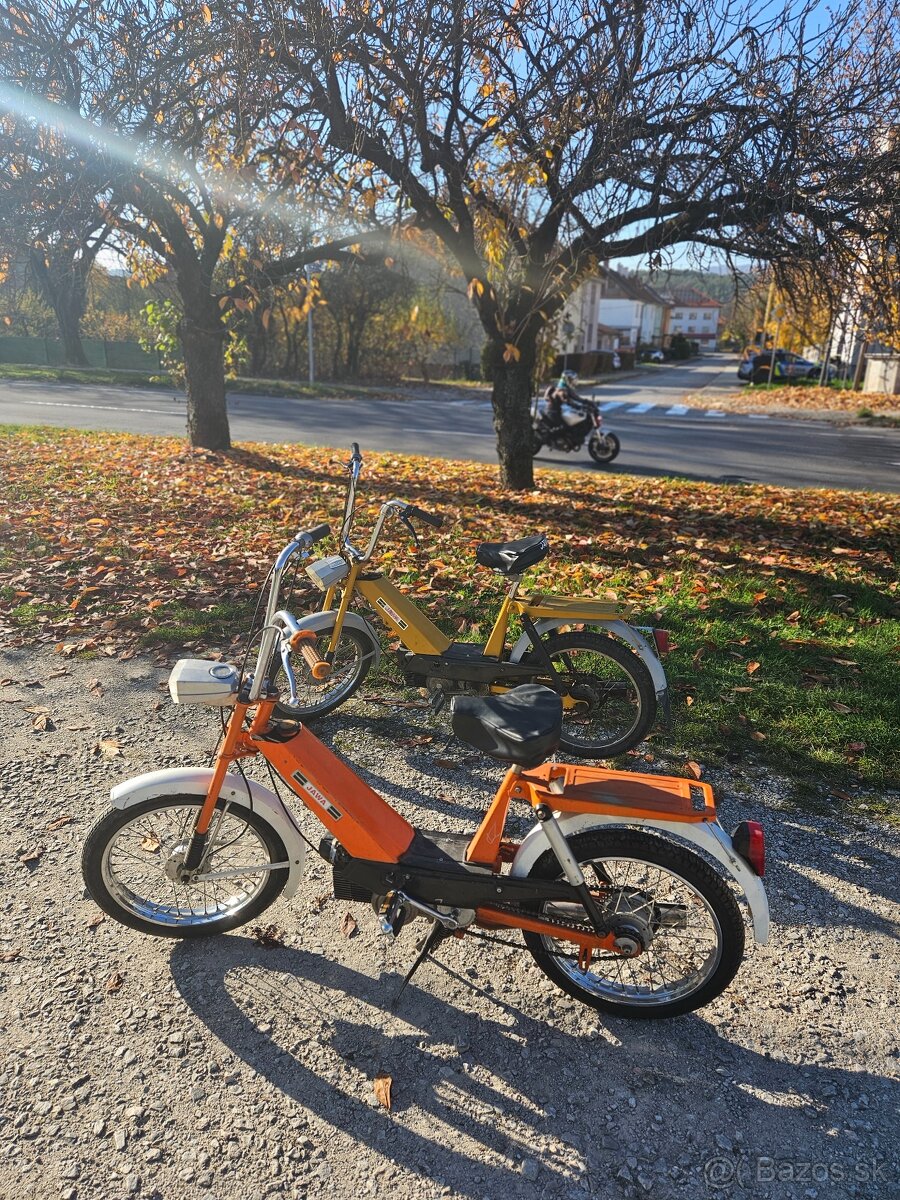 Babeta207